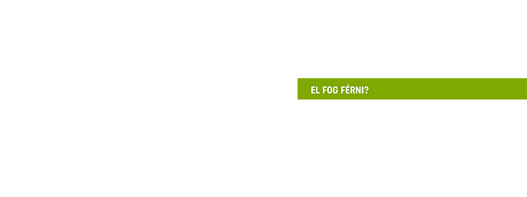 Elfog