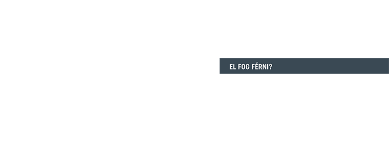 Elfog szürke